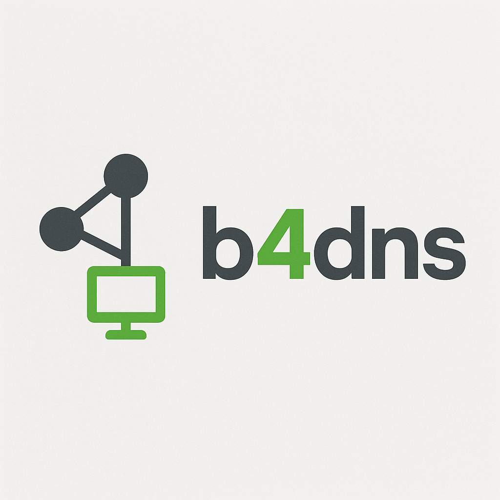 b4dns